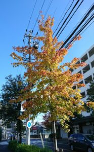 _20161111_161212