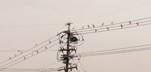 _20161213_192103