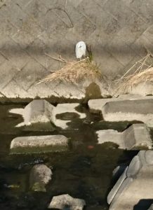 _20170124_130005
