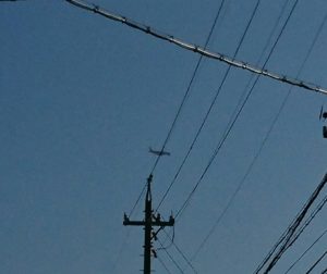 _20170124_130128