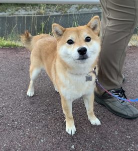 お母さん