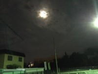 IMG_3611.JPG