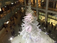 IMG_4829.JPG