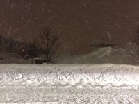 IMG_5529.JPG