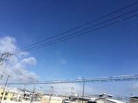 IMG_5834.JPG