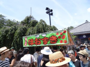 ほおずき露天