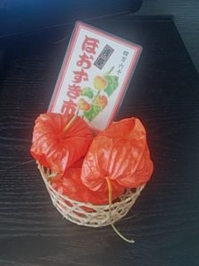 ほおずき