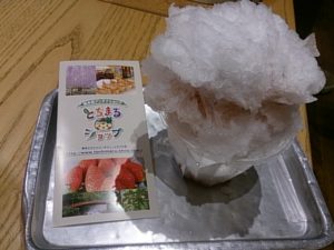 とちまるショップとちおとめ氷
