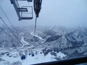 DSC01785